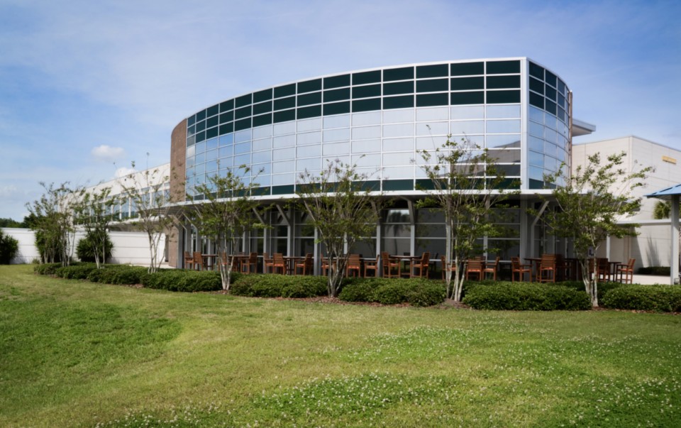 neutral window film